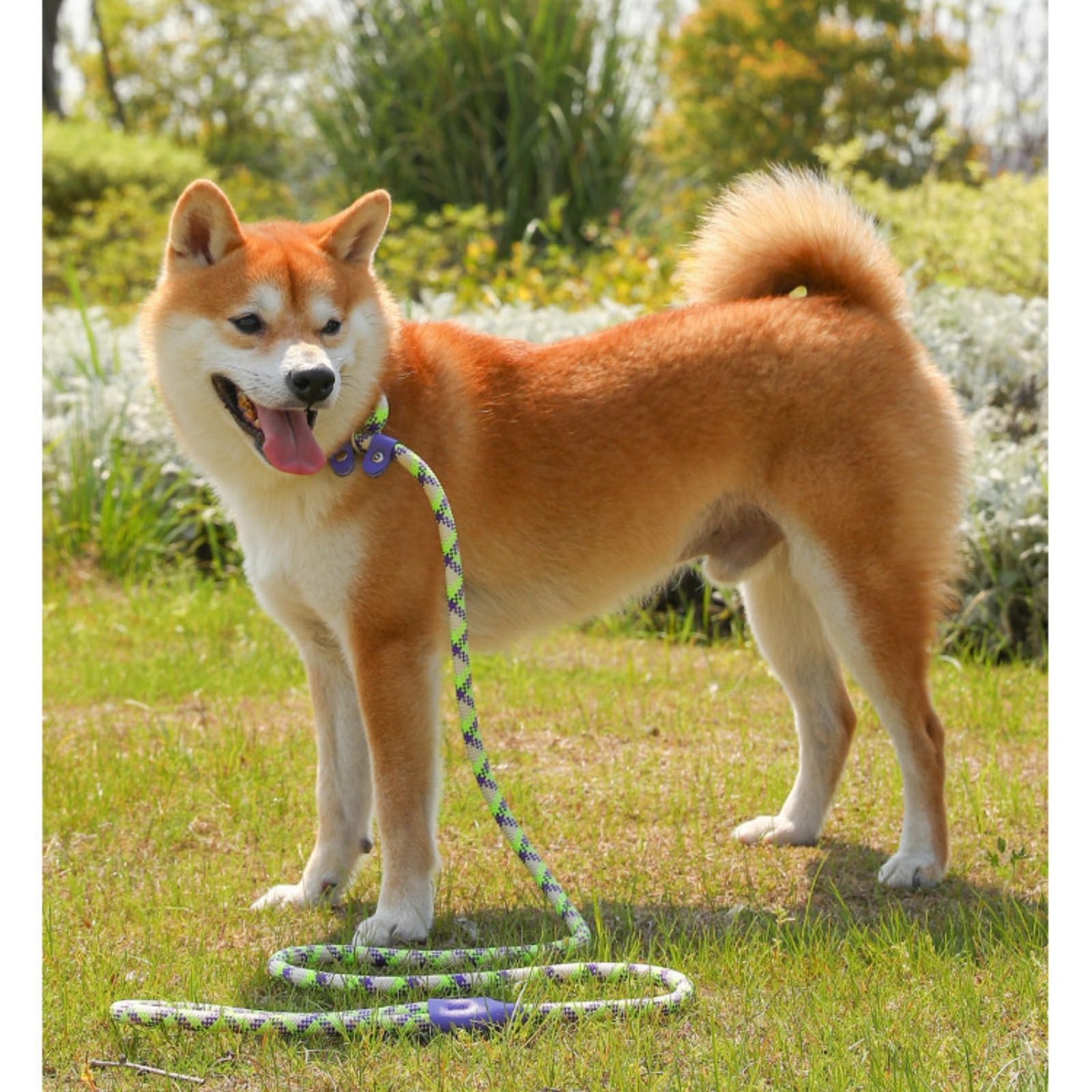 ☆リード滑り止ワイヤー 制御リード 引っ張らない ペットトレーニングリード Amazon | リード滑り止めワイヤー制御リード、快適で強力なロープ滑り